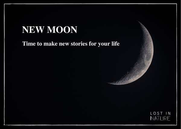 New Moon -Postikortti