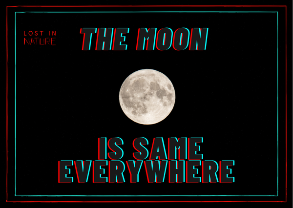 The Moon is Same Everywhere- Postikortti